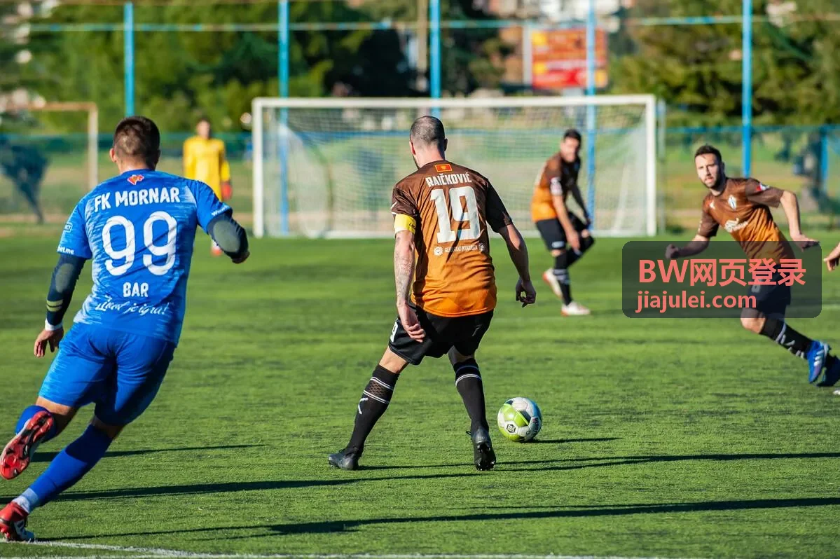 BW网页登录问题自查流程示意