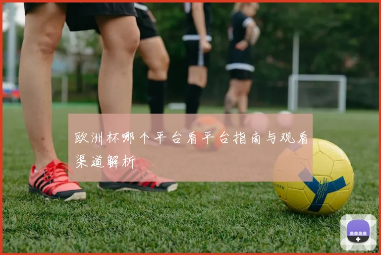 欧洲杯哪个平台看平台指南与观看渠道解析