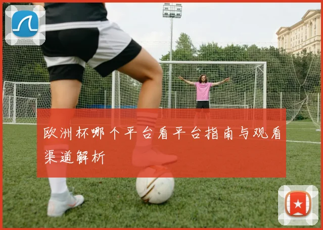 欧洲杯哪个平台看平台指南与观看渠道解析