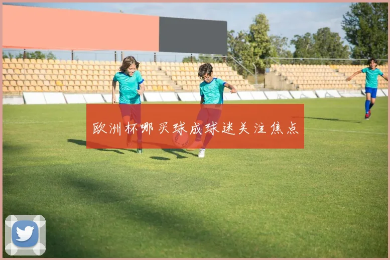 欧洲杯哪买球成球迷关注焦点