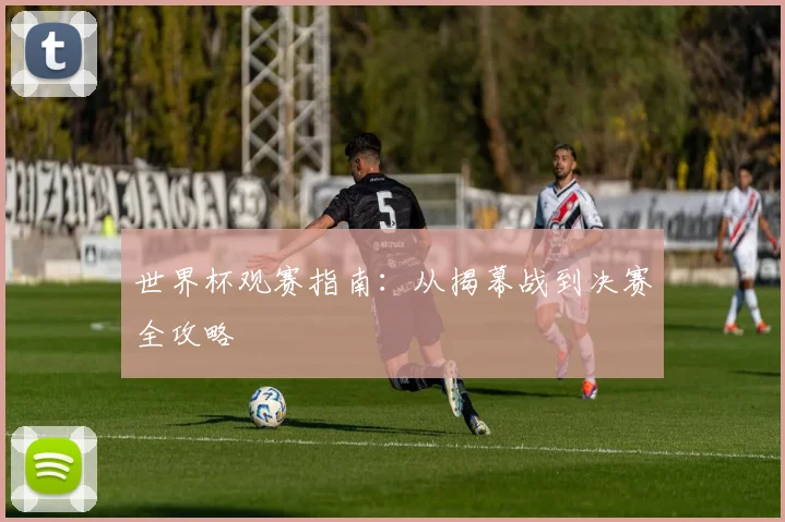 世界杯观赛指南:从揭幕战到决赛全攻略