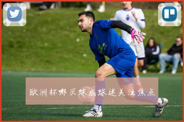 欧洲杯哪买球成球迷关注焦点