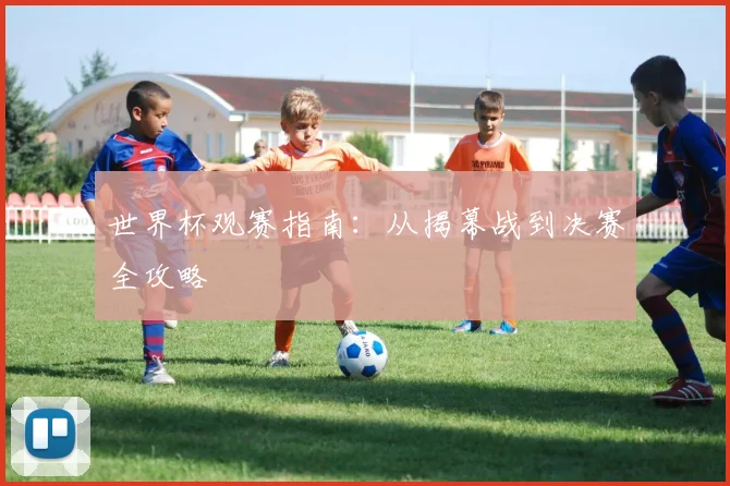 世界杯观赛指南：从揭幕战到决赛全攻略